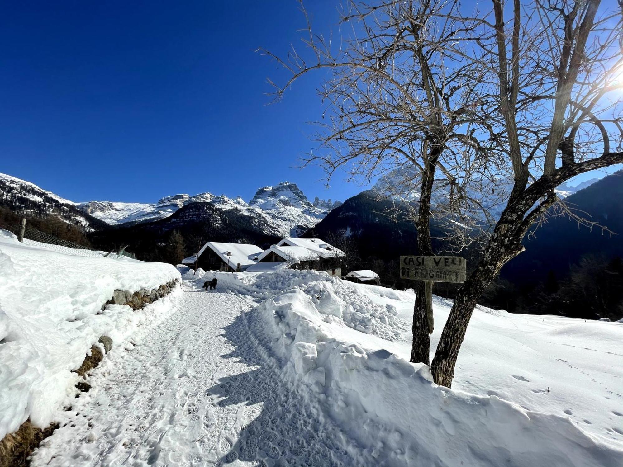 Villa Alpina Campiglio Madonna Buitenkant foto