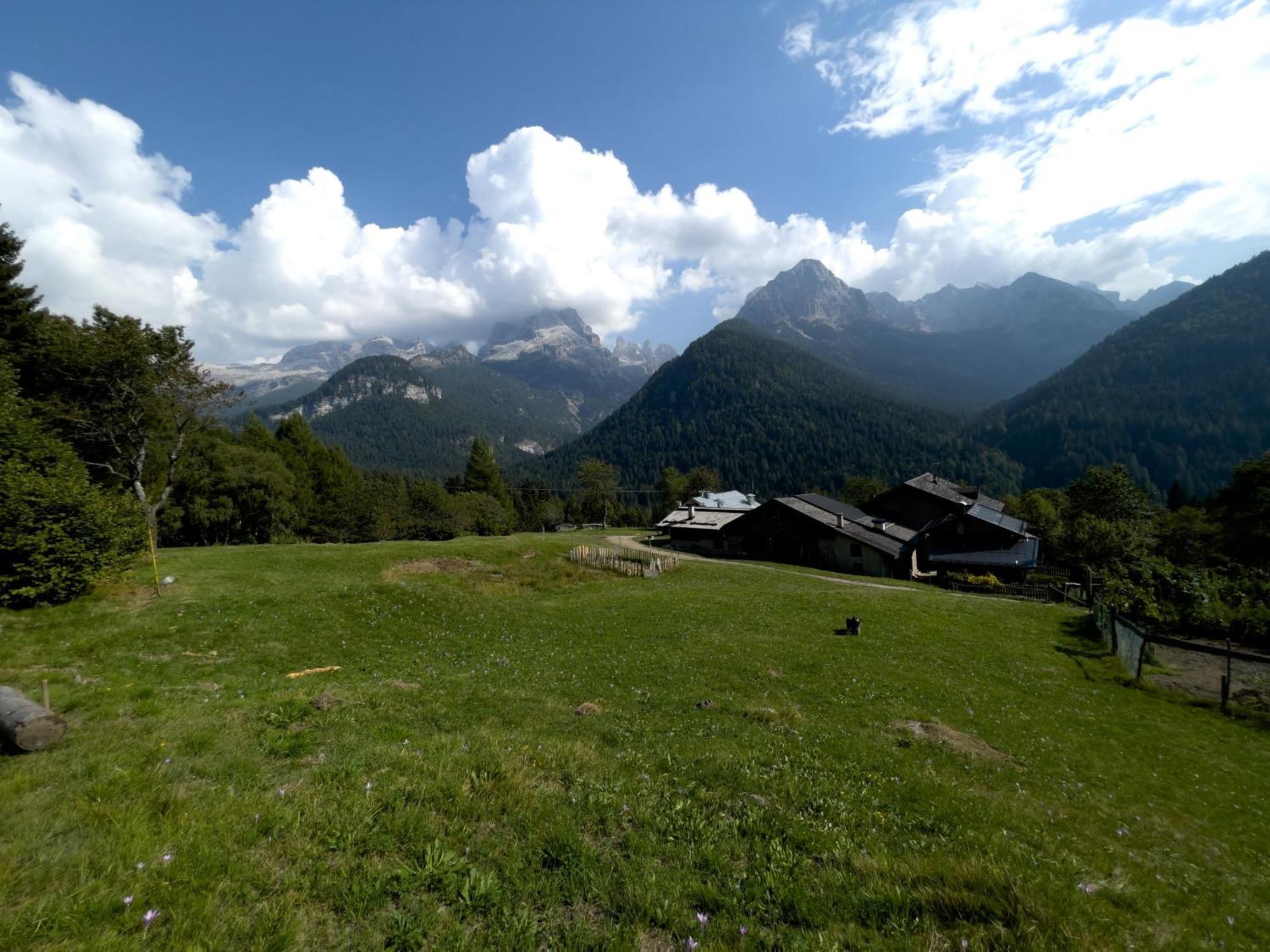 Villa Alpina Campiglio Madonna Buitenkant foto