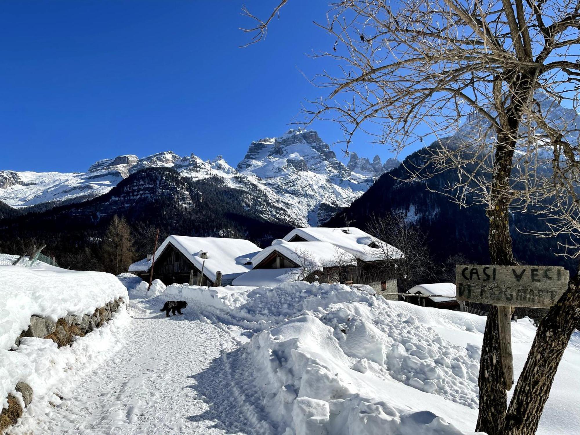 Villa Alpina Campiglio Madonna Buitenkant foto