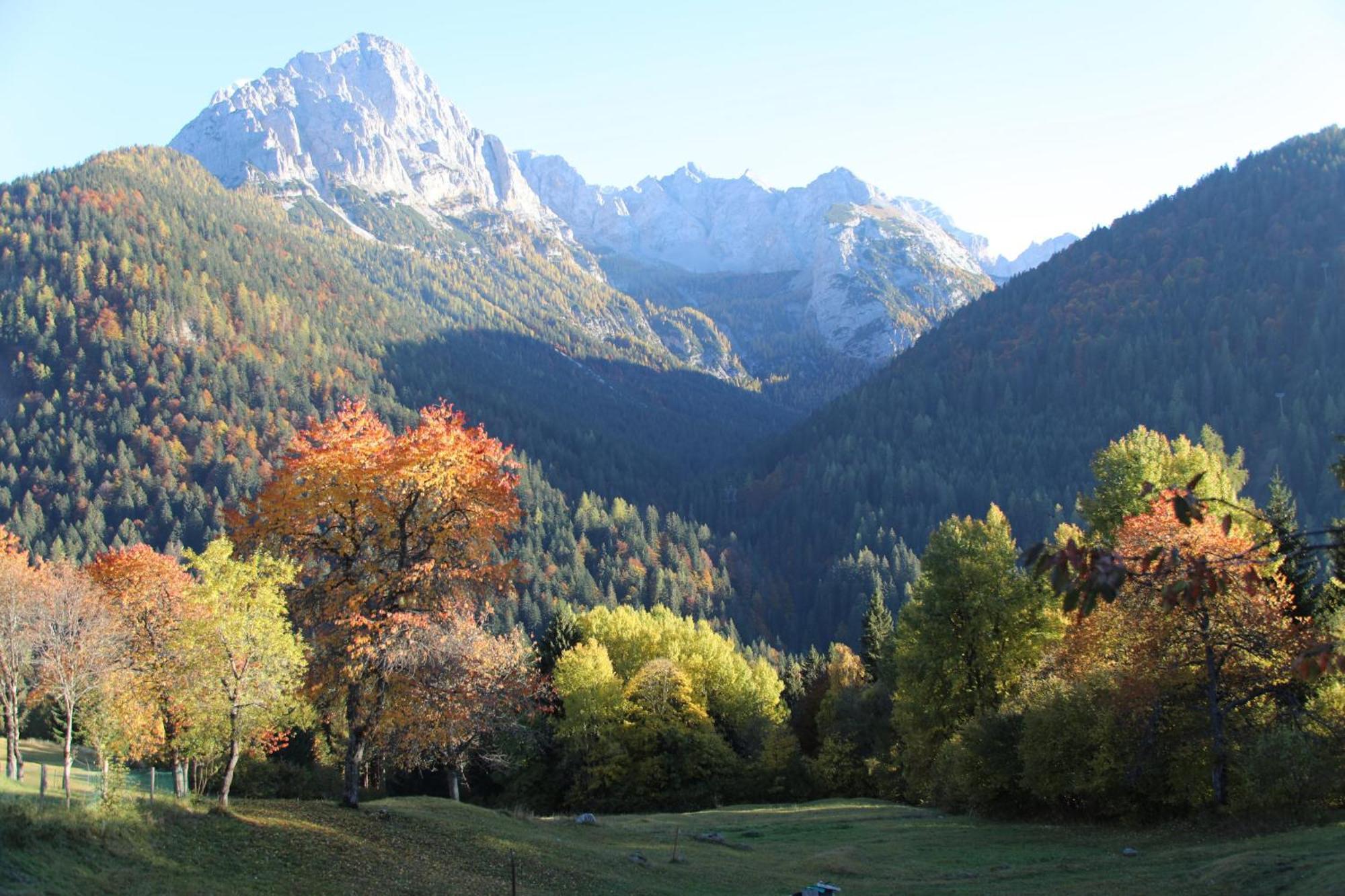 Villa Alpina Campiglio Madonna Buitenkant foto