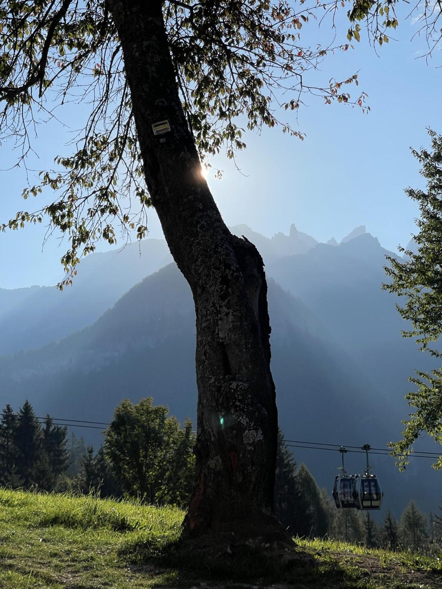 Villa Alpina Campiglio Madonna Buitenkant foto