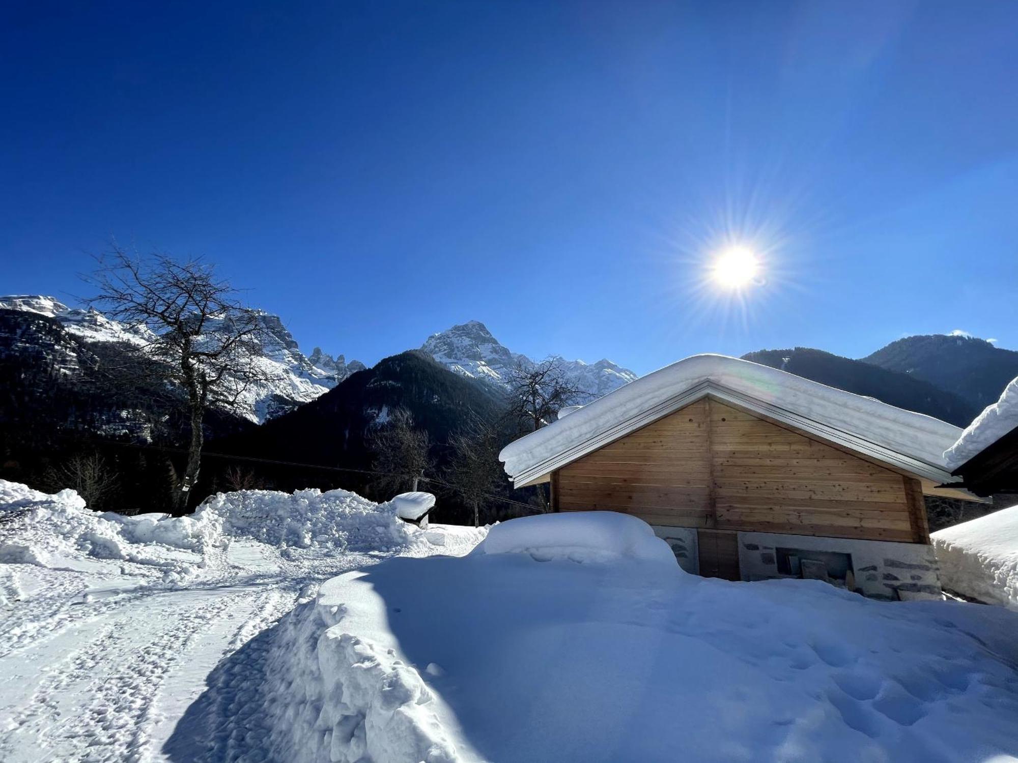 Villa Alpina Campiglio Madonna Buitenkant foto