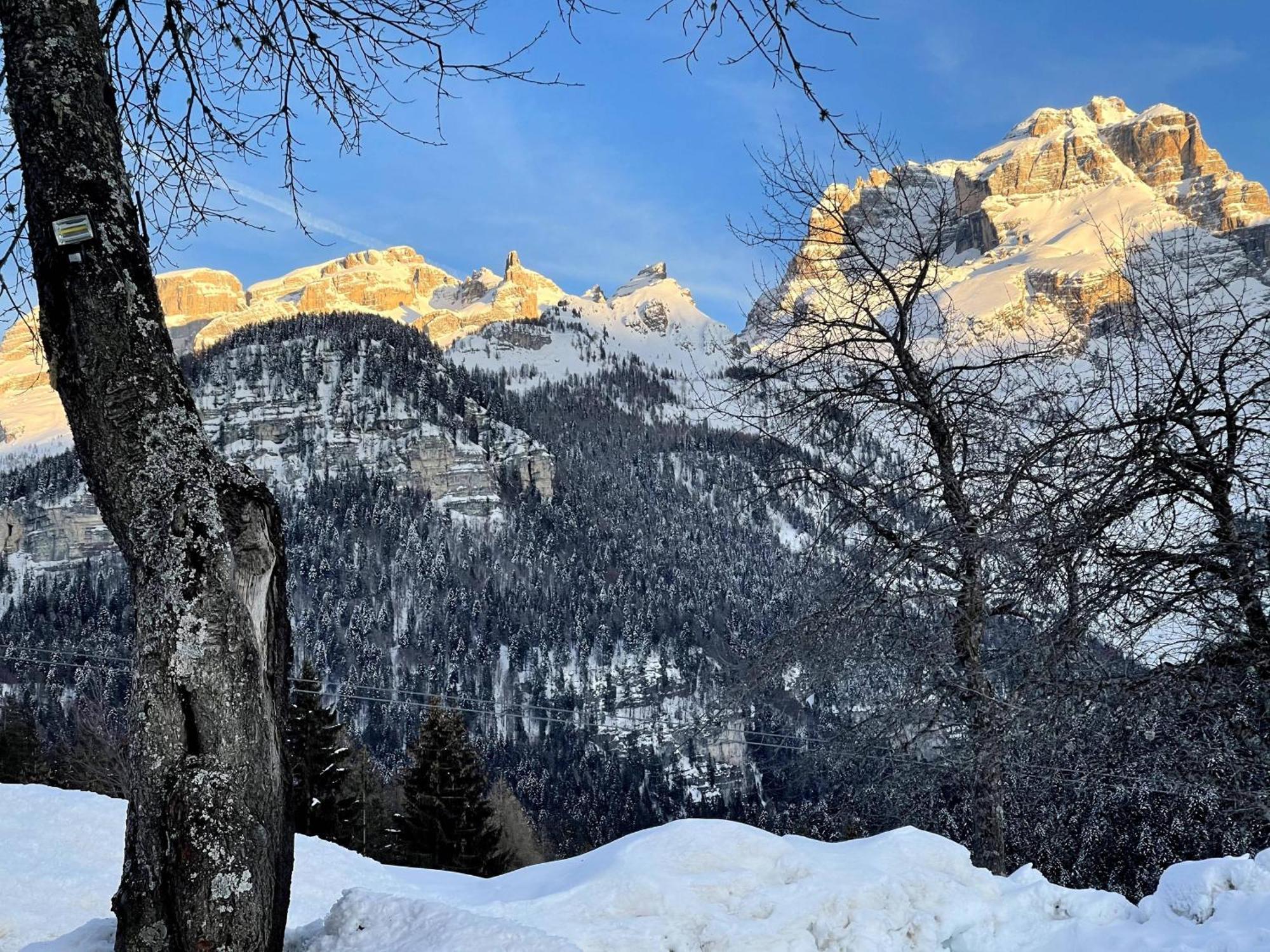 Villa Alpina Campiglio Madonna Buitenkant foto